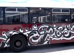 Taupo school bus